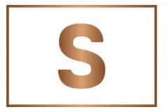 Seigo Staffing